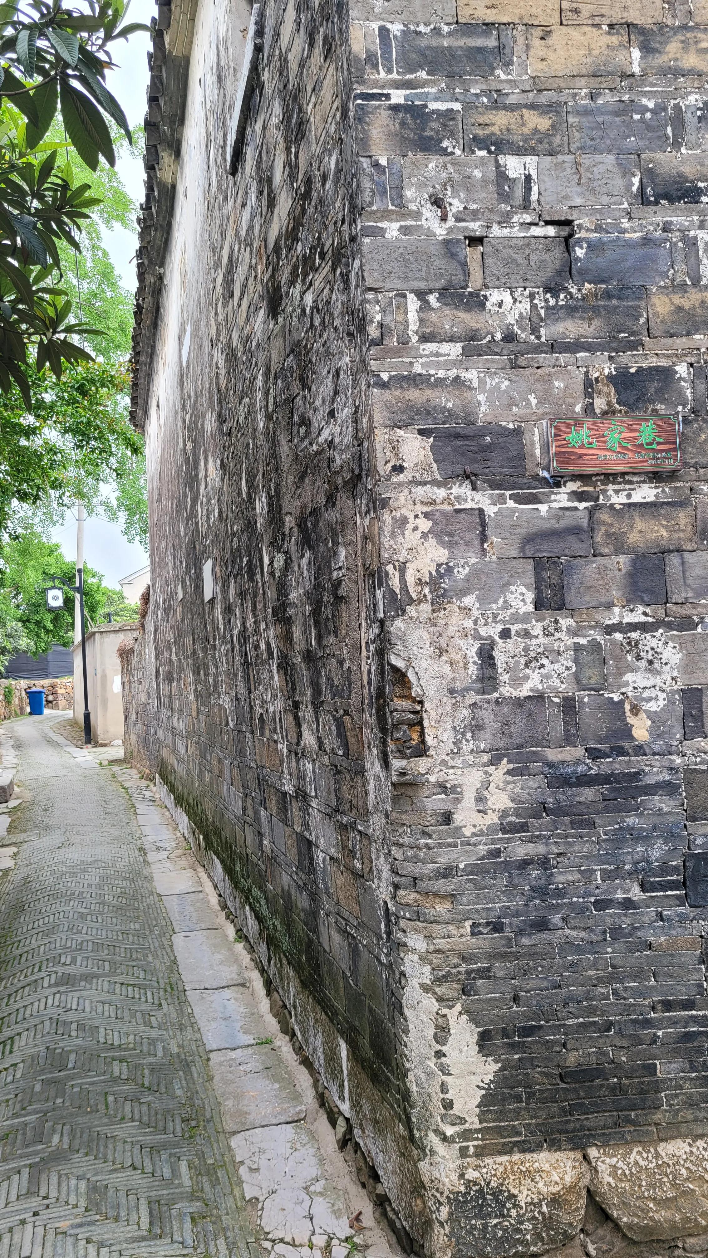 东山杨湾古村看杏叶,东山杨湾古村怎么进去