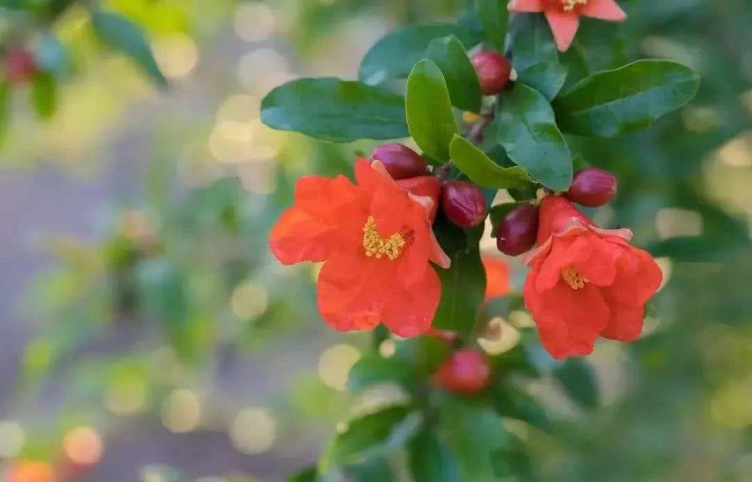 “西班牙”现状，带你看看一个真实的西班牙