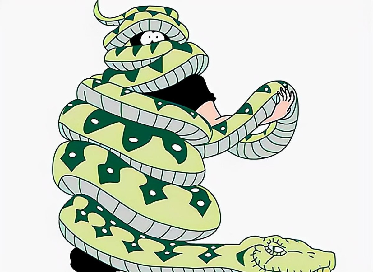 巨蟒为报恩守护十几年,96年海南巨蟒