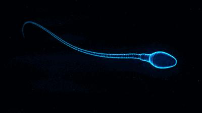 世界男性健康日健康误区,男性健康日科普先行