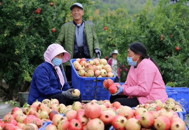 对于淄博烧烤出圈的看法,淄博烧烤现象的启示