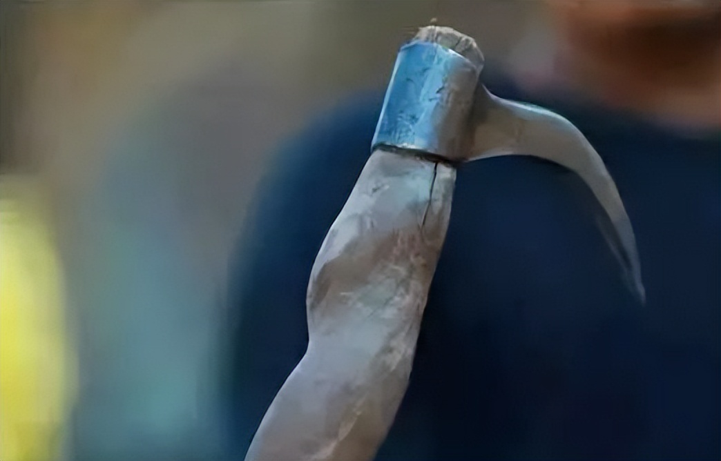 6岁公主活成“脚链囚徒”,背后的动物表演让人心疼