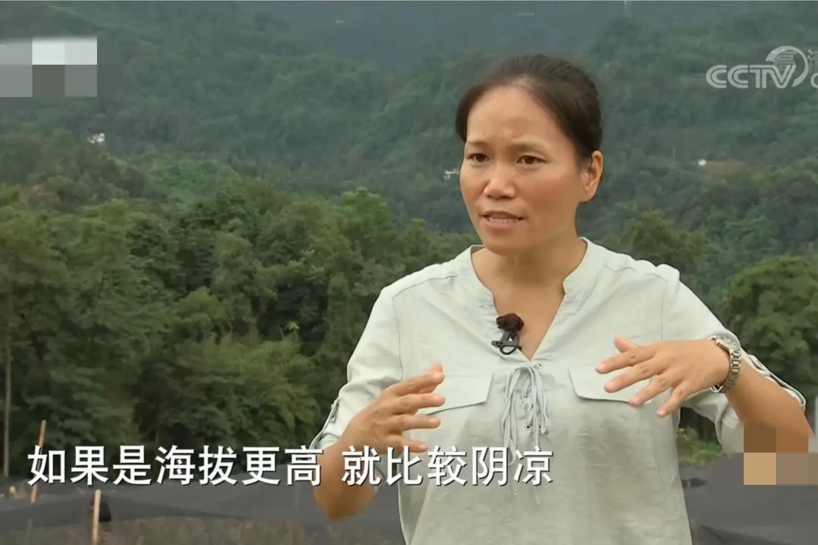 200亩荒山变成聚宝盆,愚公移苍山荒山化作聚宝盆