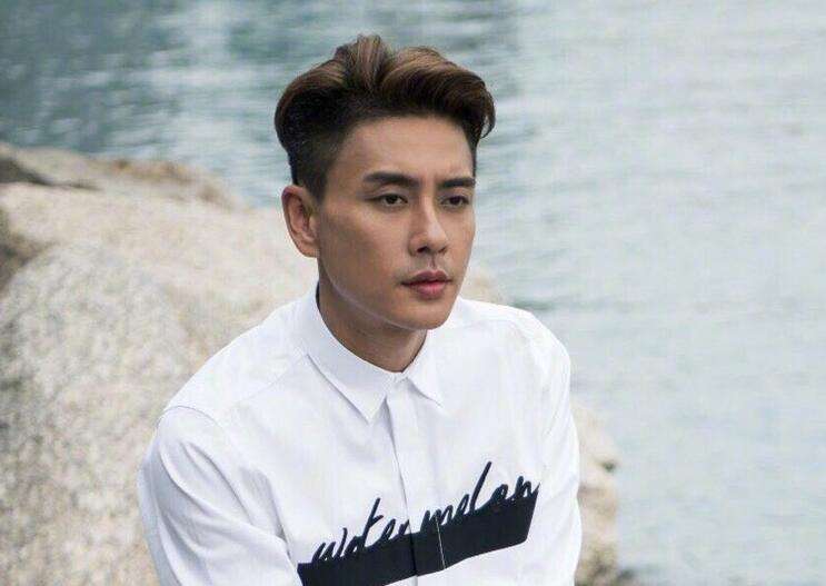 娱乐圈痞帅的四位男星叫什么名字,娱乐圈10位长相帅气的男星