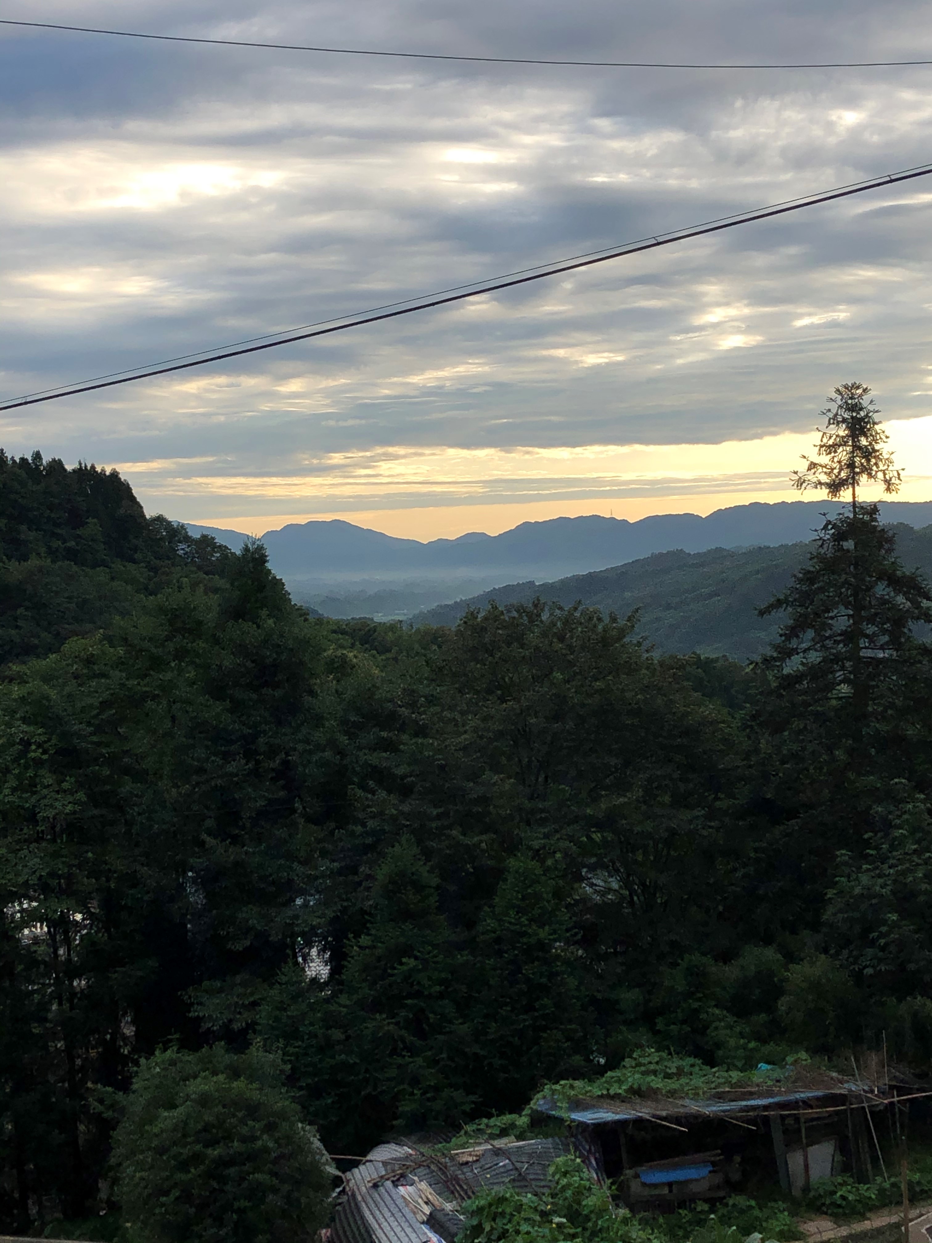 养殖致富经养羊技术,养殖羊的思路和经营模式