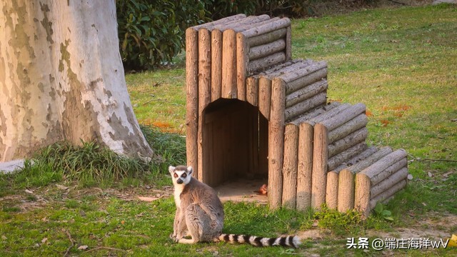 去上海十个必打卡地，每一个都美不胜收