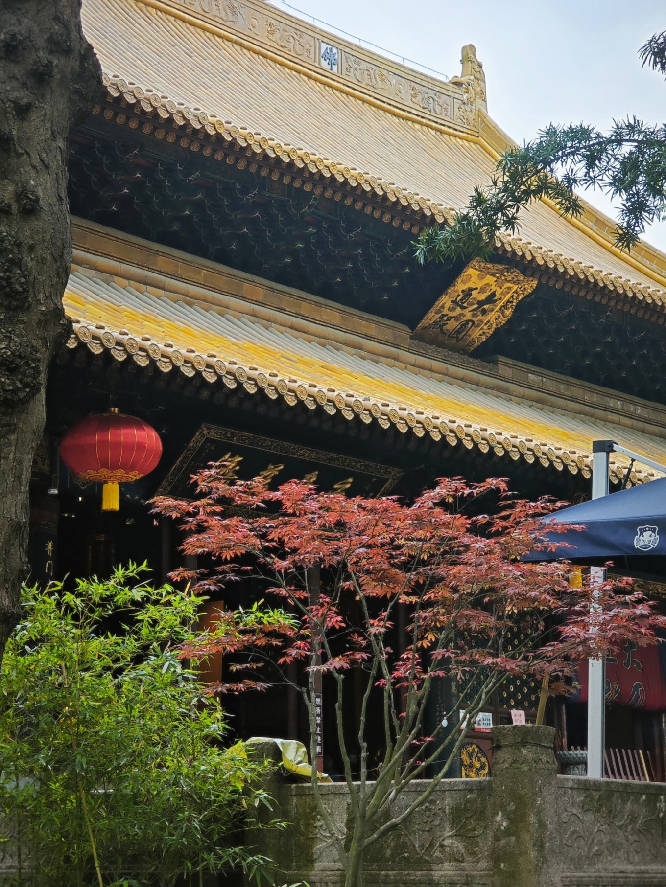 第三年到普陀山祈福之旅圆满,普陀山祈福二日杭州出发跟团游