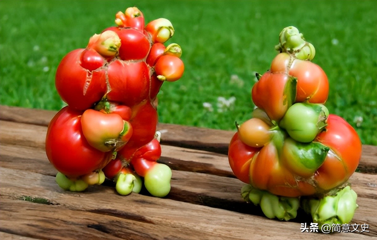核辐射对人体的伤害的真实案例,核辐射真实案例