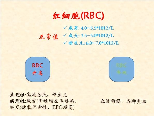 血常规报告怎么解读,血常规报告视频解说