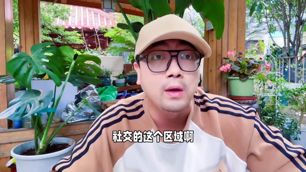 玄凤鹦鹉允许主人摸头代表什么,玄凤鹦鹉可以上手但不让摸头