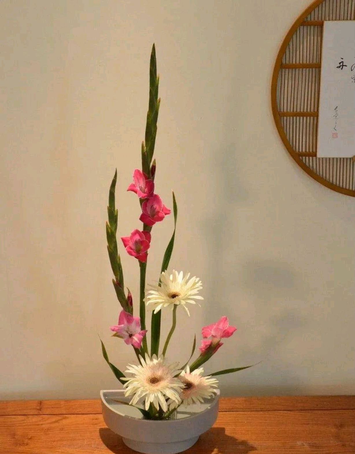 “切花之魁”，不要花大价钱去买了，自己种真的很方便