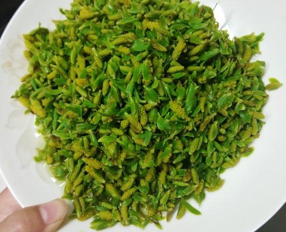 除湿热健脾胃最好的菜,健脾胃祛湿热的食谱儿童