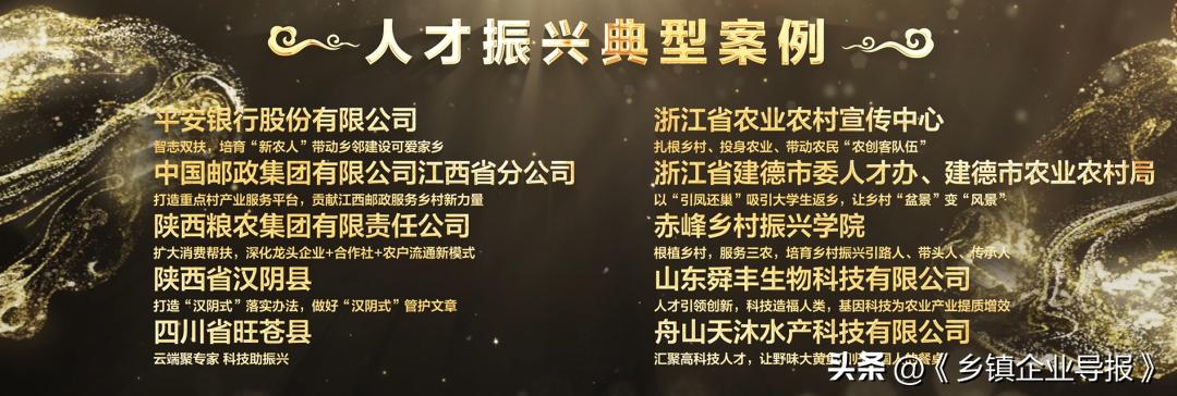 乡村振兴赋能计划人才典型案例,乡村振兴之文化振兴案例