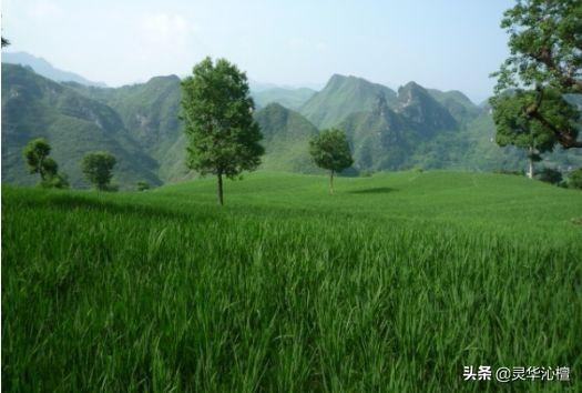 楼上千年古寨,漫步幽悠古寨图片