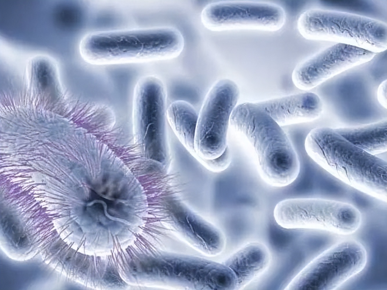 女人“下面”瘙痒难耐,是怎么回事?医生:或许与这4点有关!