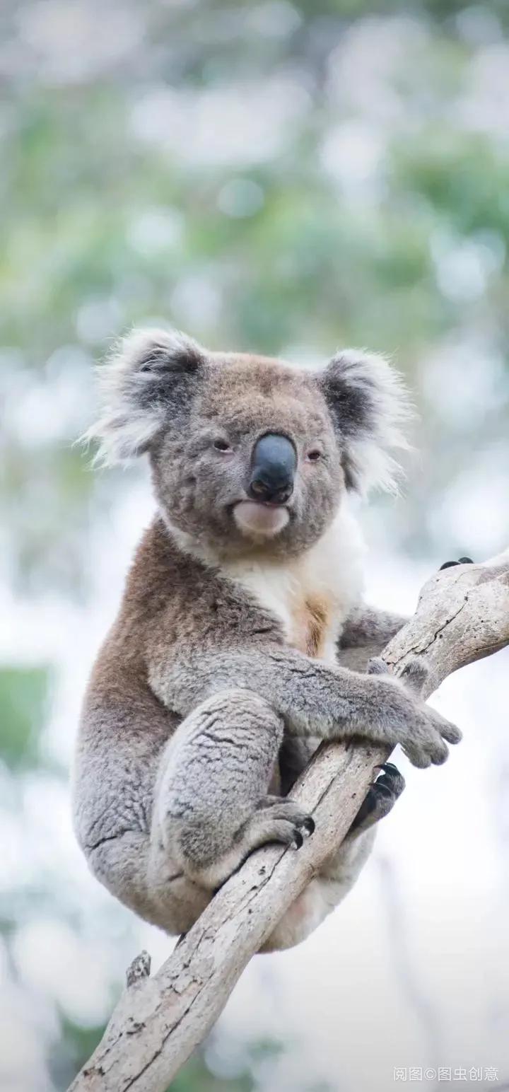 失去花香的季节13