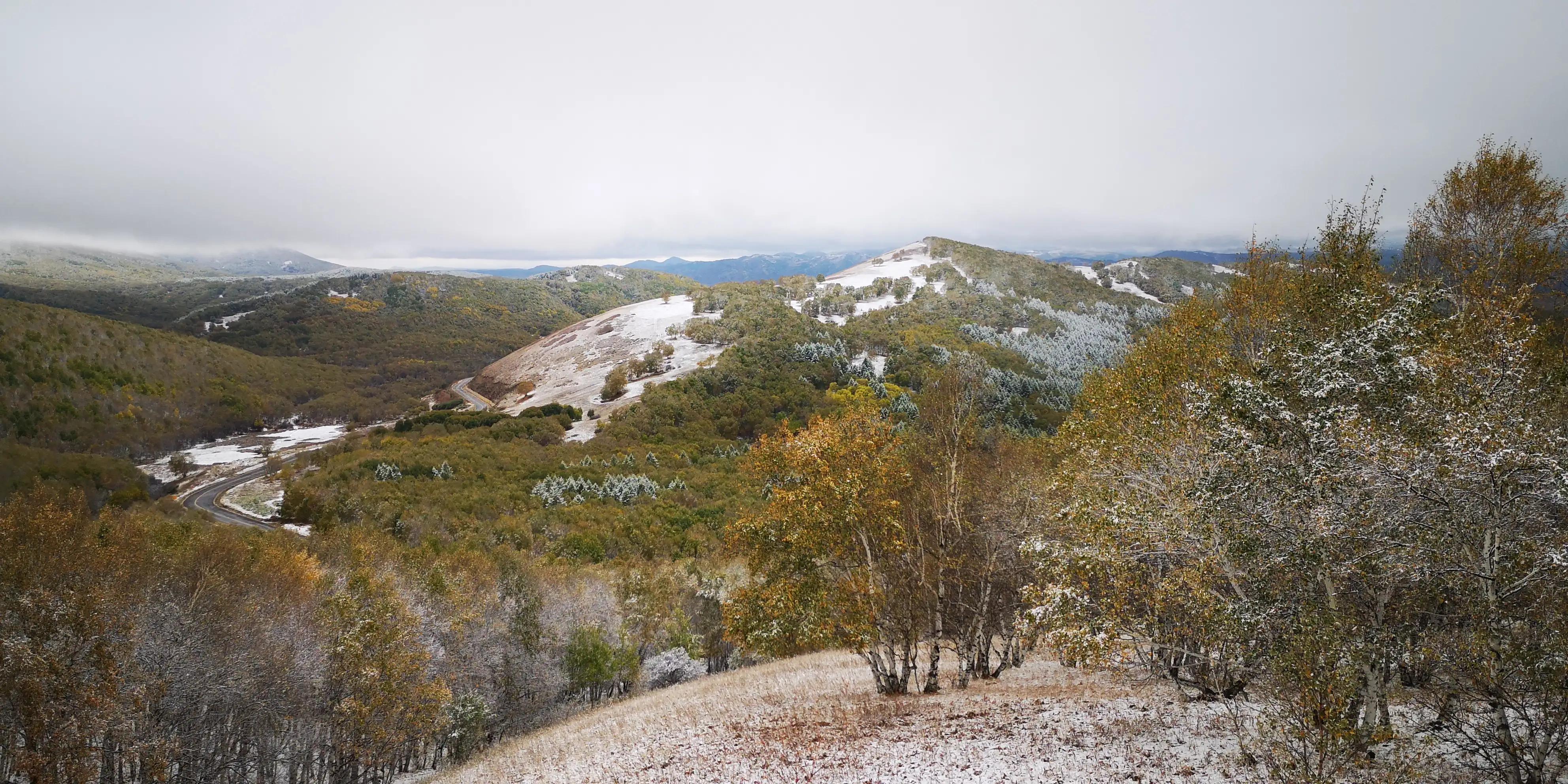 贡格尔草原离乌兰布统草原有多远,乌兰布统草原最佳旅游时间