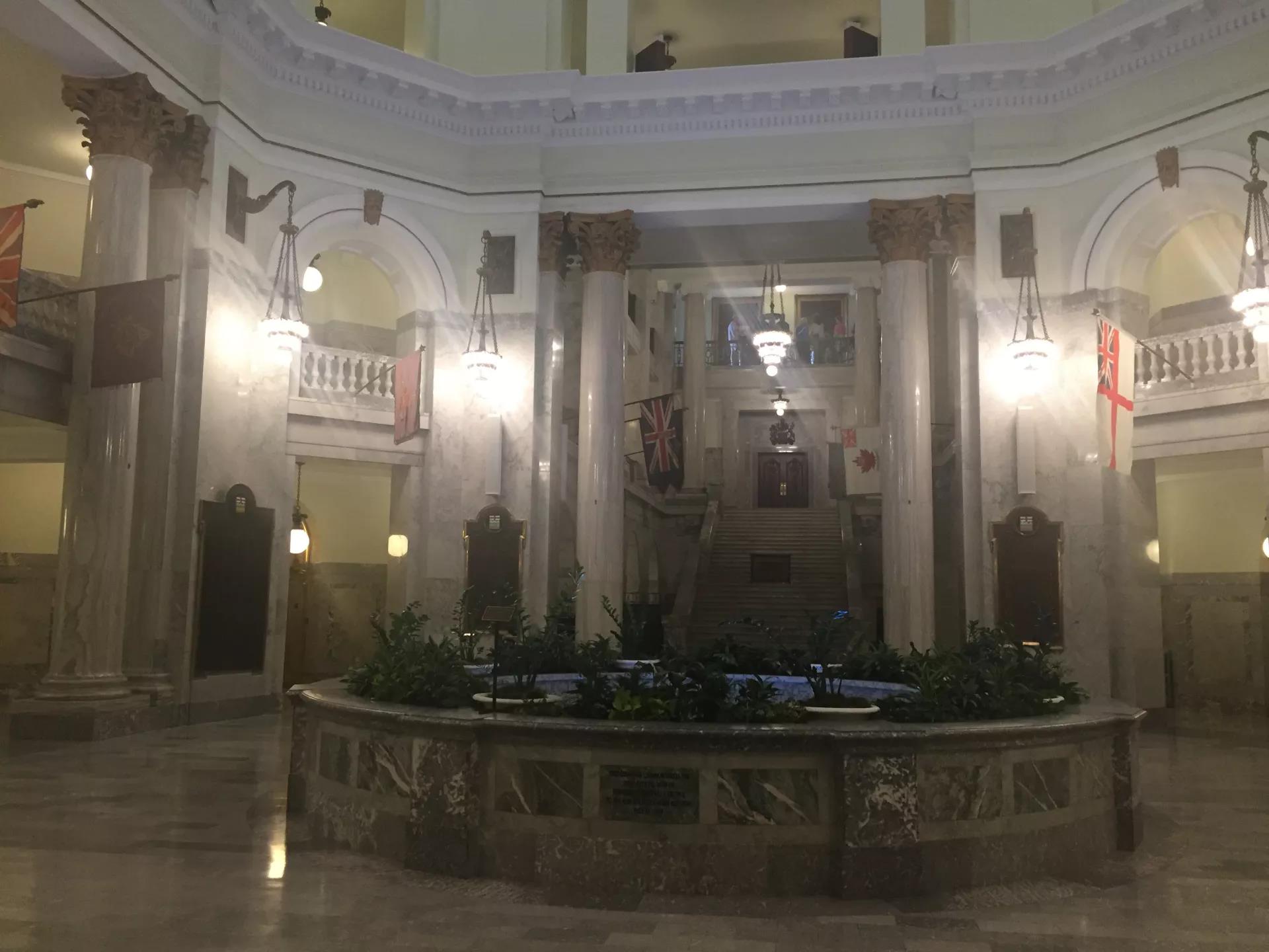 青岛如何带上猫猫去加拿大多伦多,钱猫猫加拿大之旅