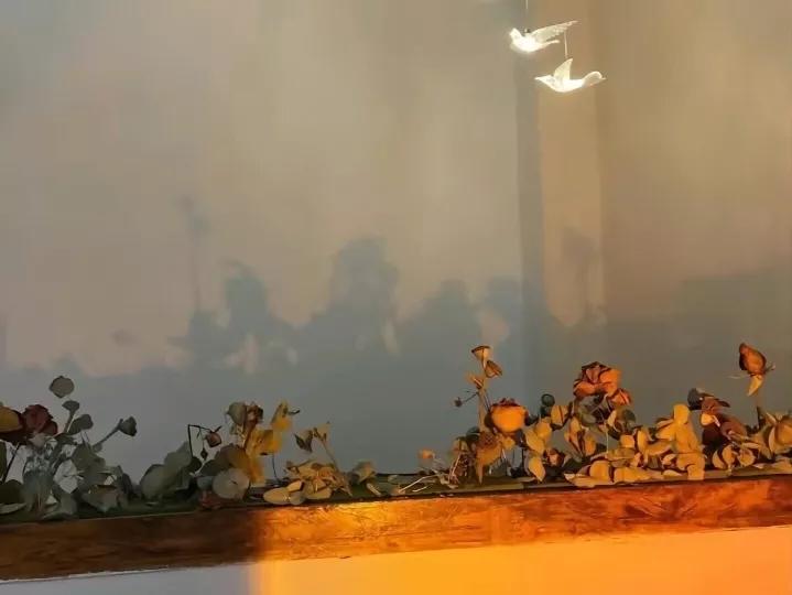 学城轨专业浪漫文案,各大专业的浪漫文案心理学