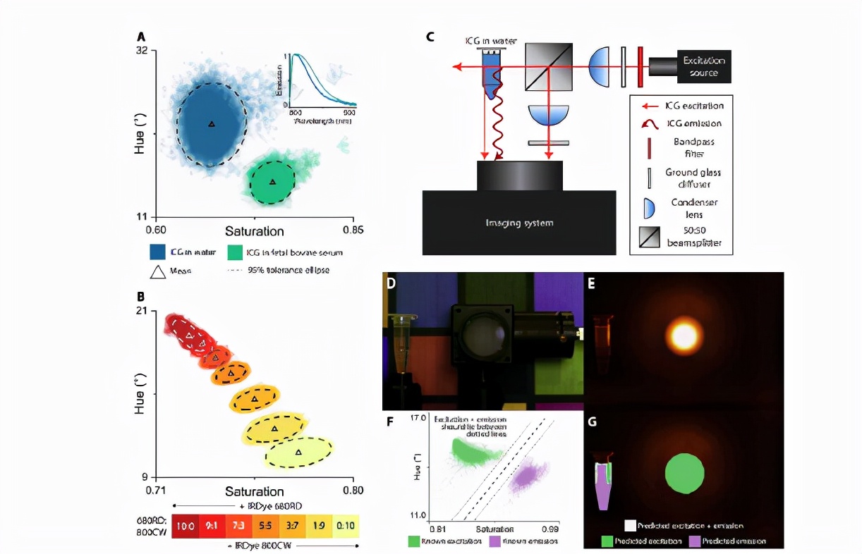 皮皮虾是史前巨兽吗,皮皮虾是外星人吗