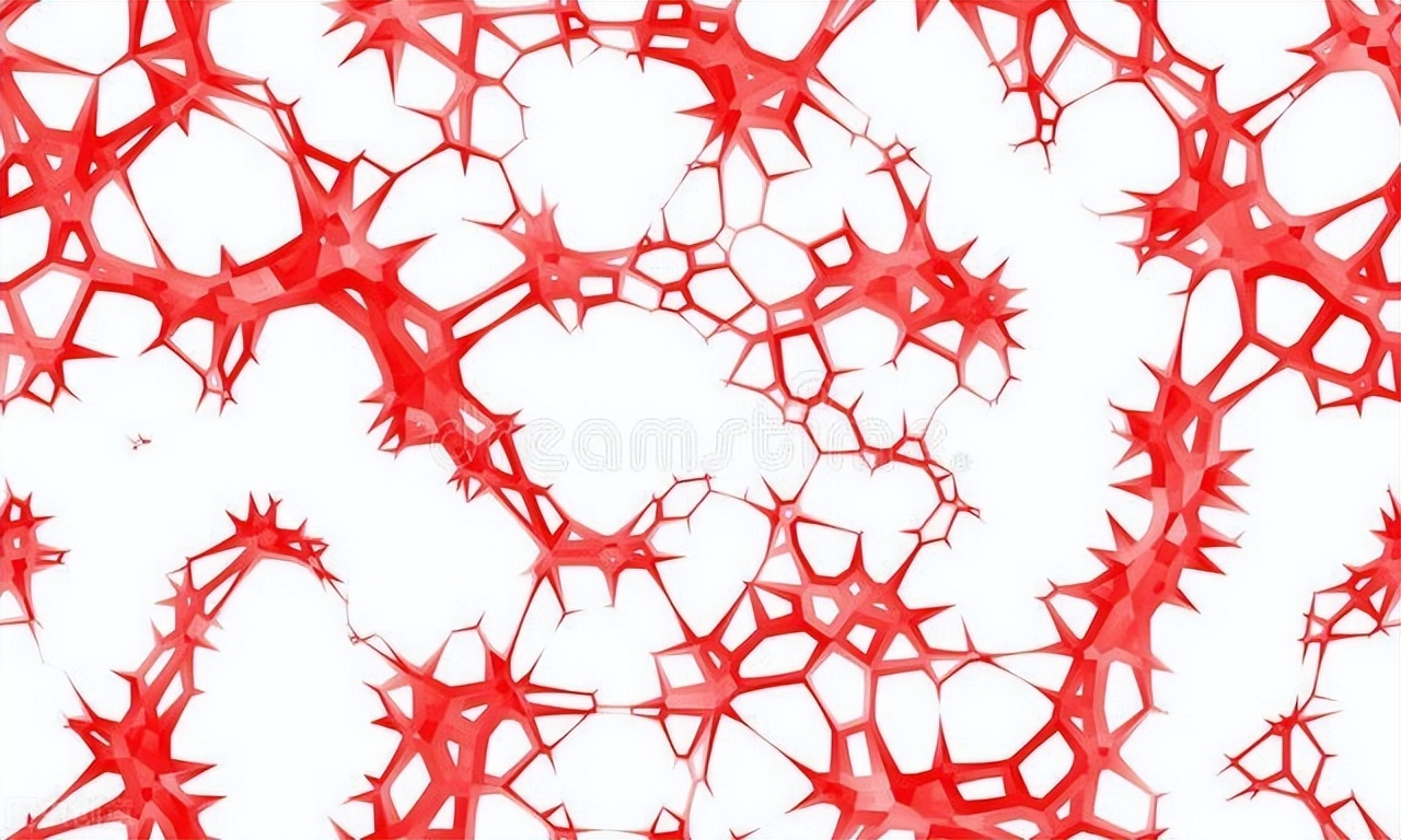 血管器质性疾病有哪些,血管性ed吃什么药