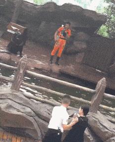 昨晚上喝多了把这个扛回了家，现在酒醒了，我该怎么办？