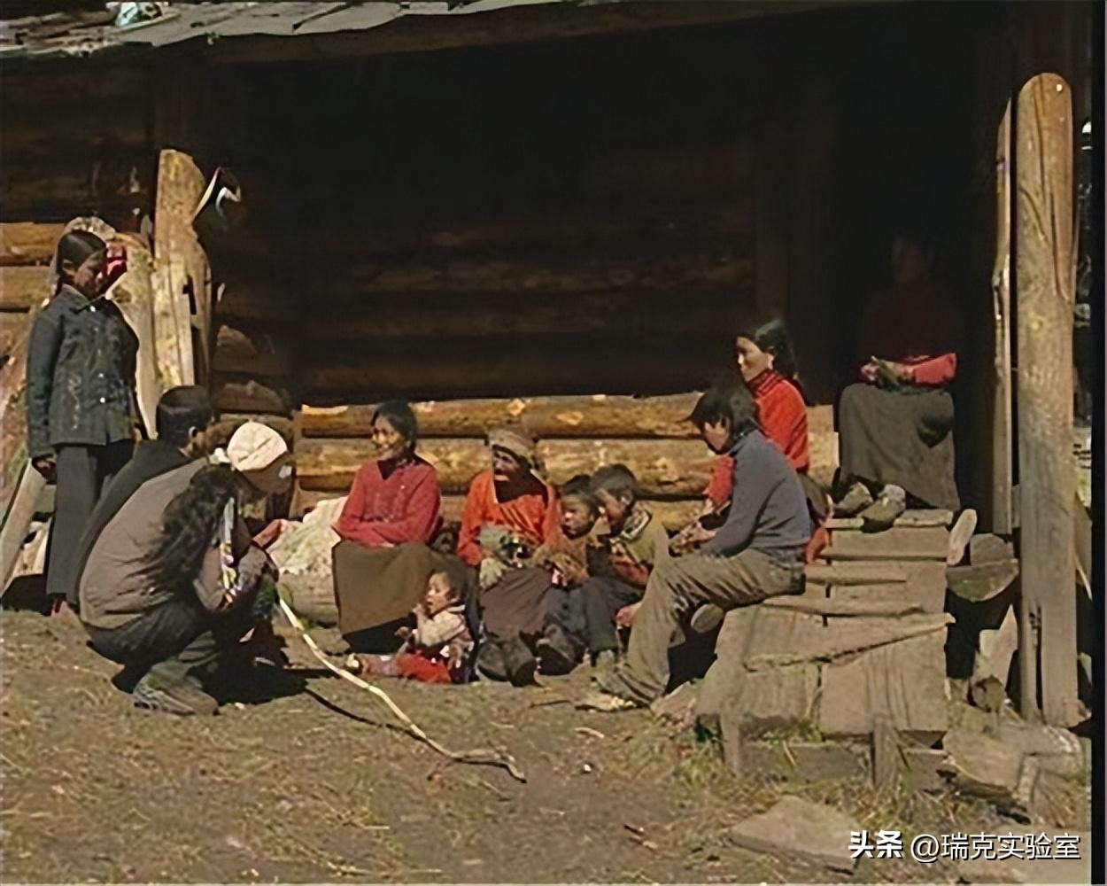 半夜搜山发现怪异生物,大鲵神秘生物