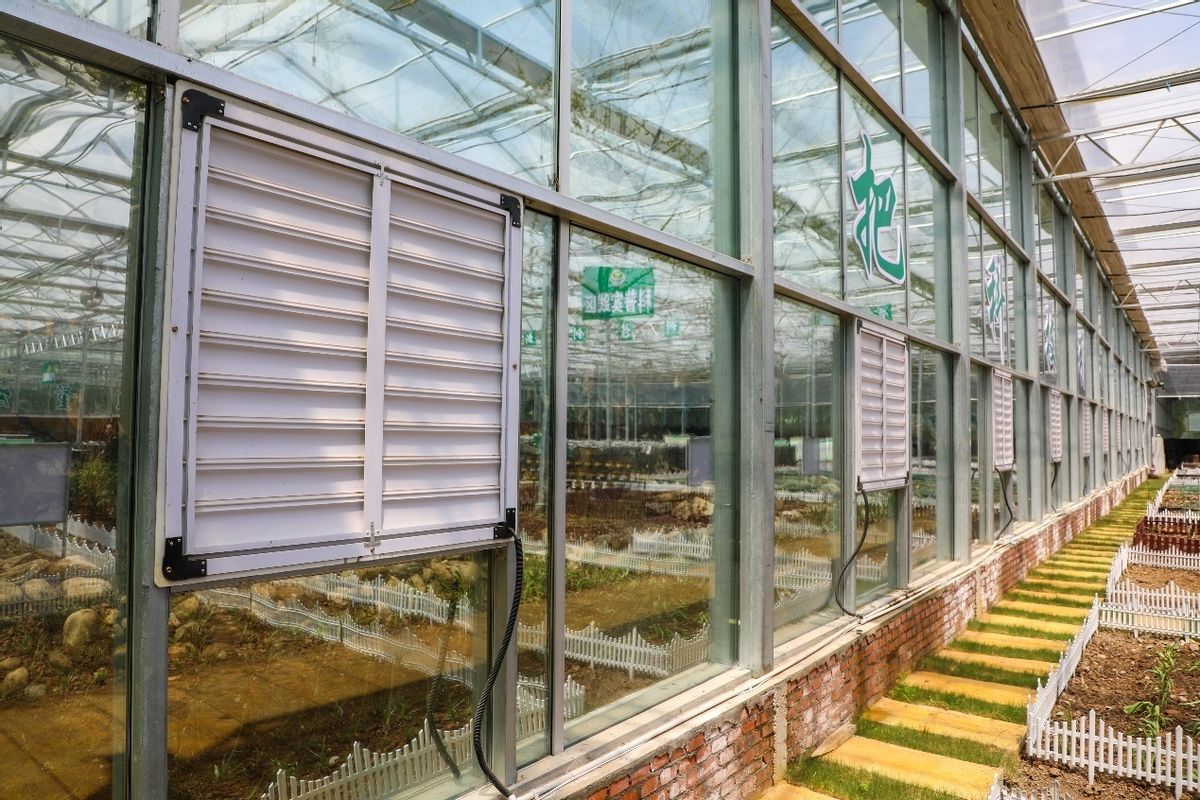 为乡村振兴添动能,供电公司全力助力乡村振兴