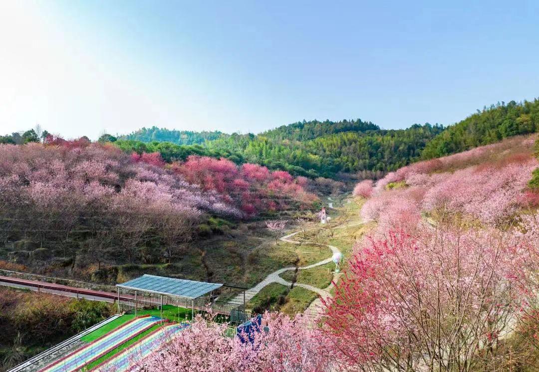 温汤镇旅游美景视频,温汤镇旅游宣传片