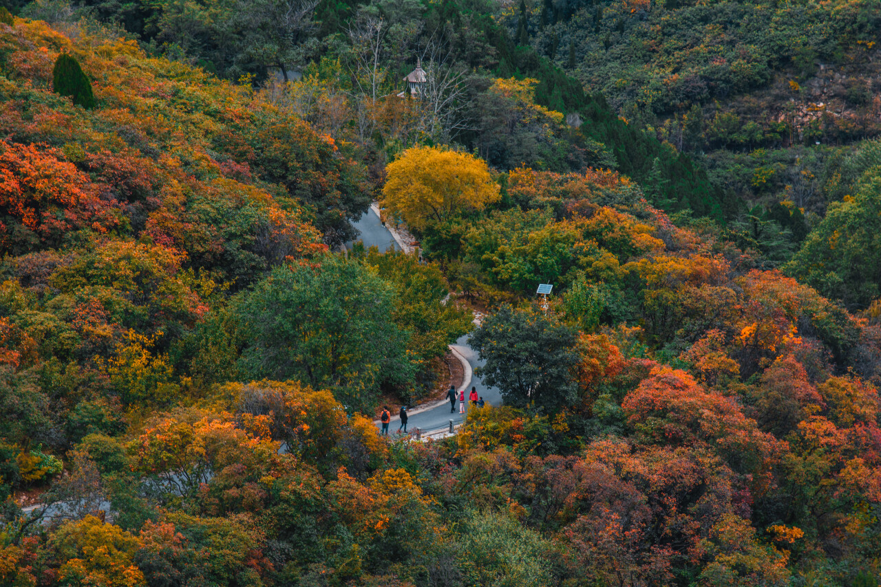 济南小众秋景好的地方,济南最近很火的打卡地秋天