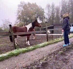 这衣服怎么穿内衣呀?不穿内衣怎么挺起来啊?