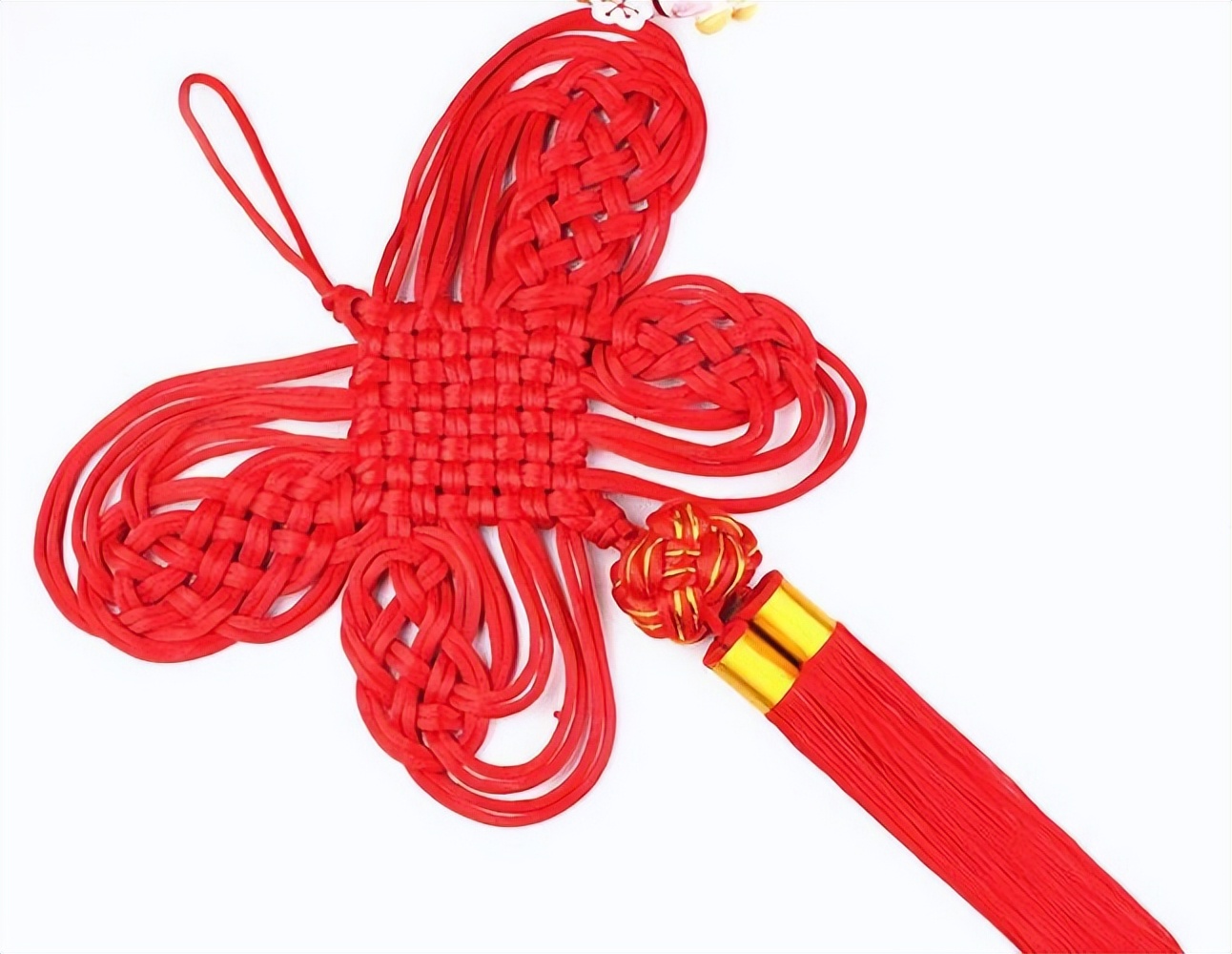 裤子上蝴蝶结的系法分正反,为什么女生女裤前面有蝴蝶结