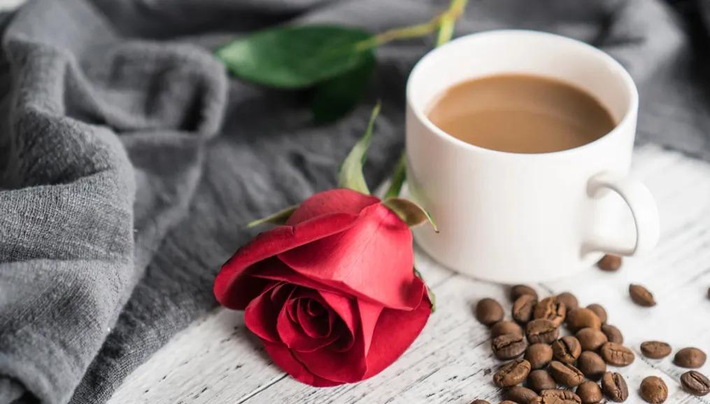 开一家咖啡馆赚不赚钱,开家赚钱的咖啡馆有那么难吗