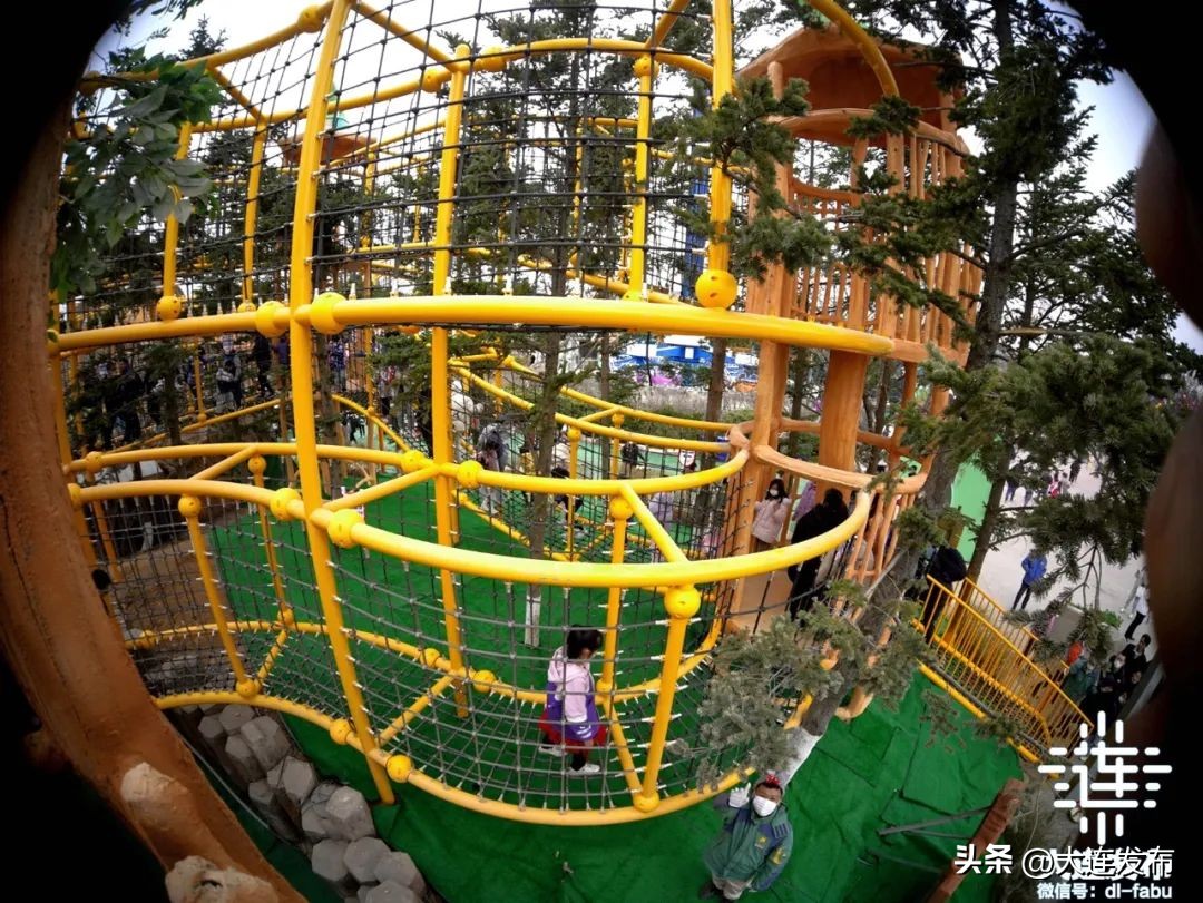 大连上榜,大连海带上榜第一名