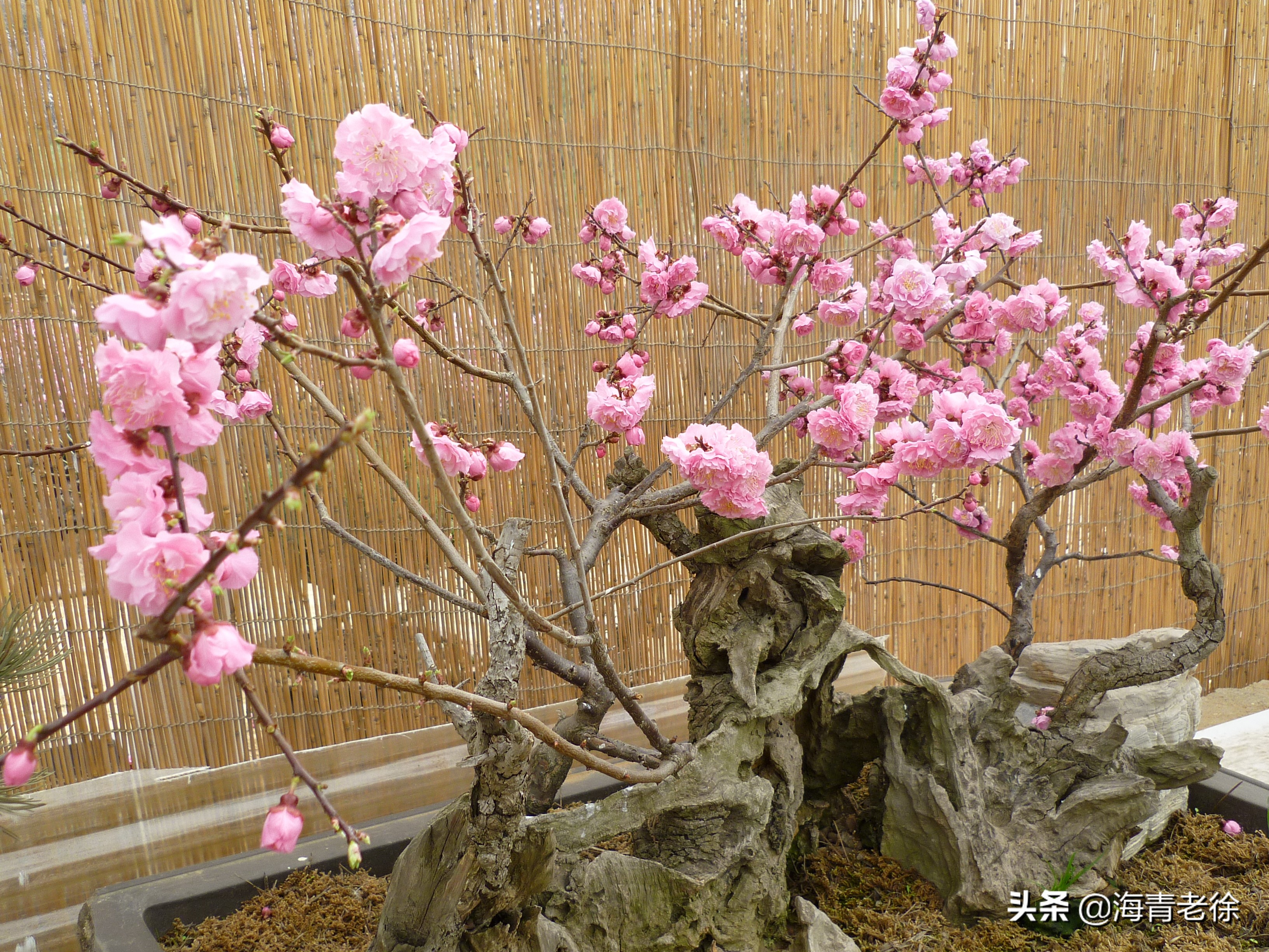 老徐新足迹,老徐自驾游视频