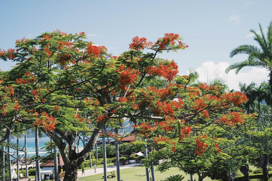 亚龙湾比较新的酒店,亚龙湾的酒店怎么样