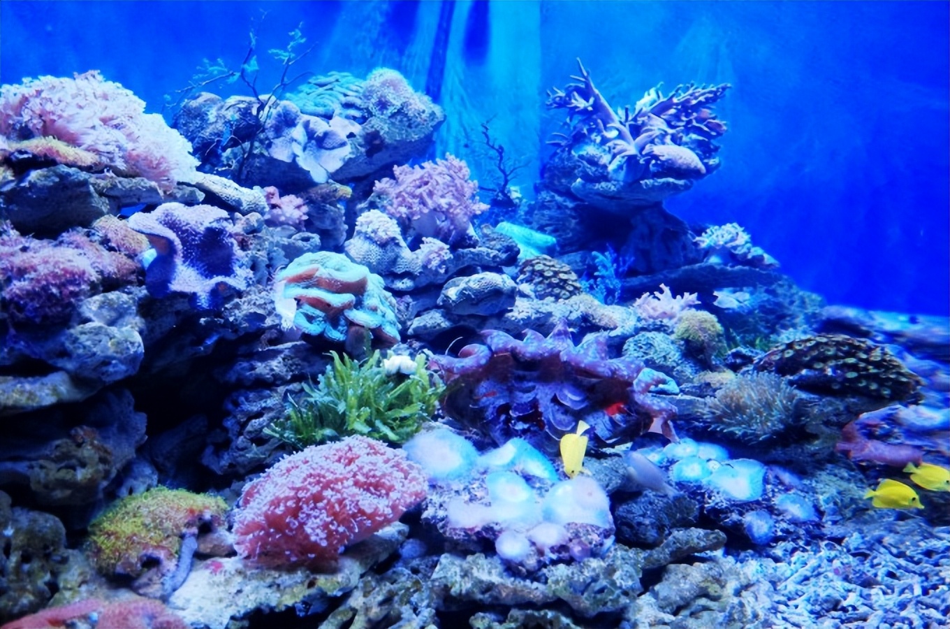 大连旅游攻略3天2夜住宿,大连旅游攻略视频