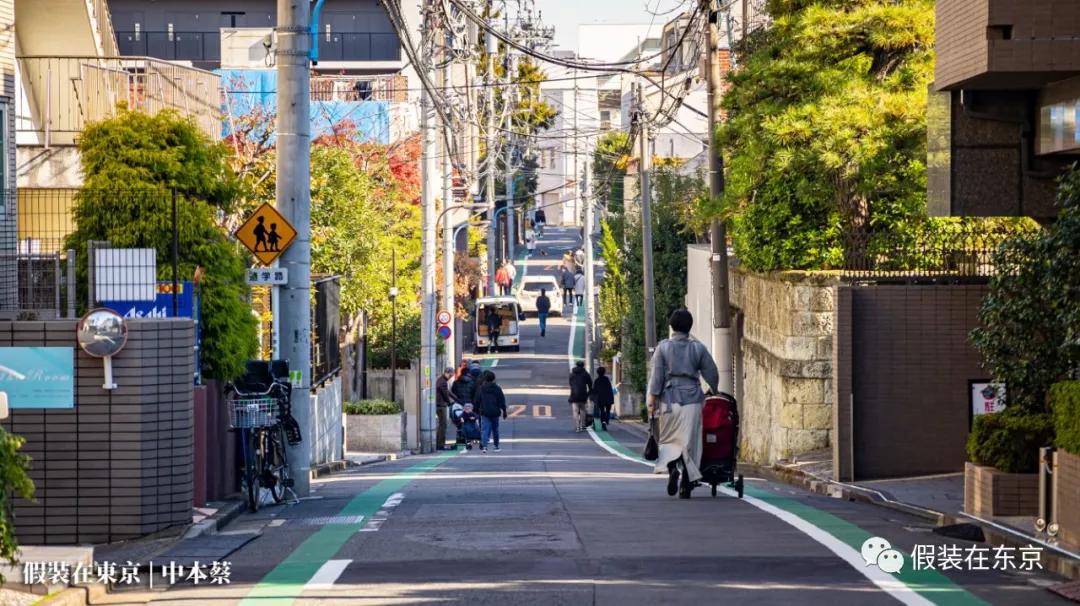 365张照片回顾,365张相片