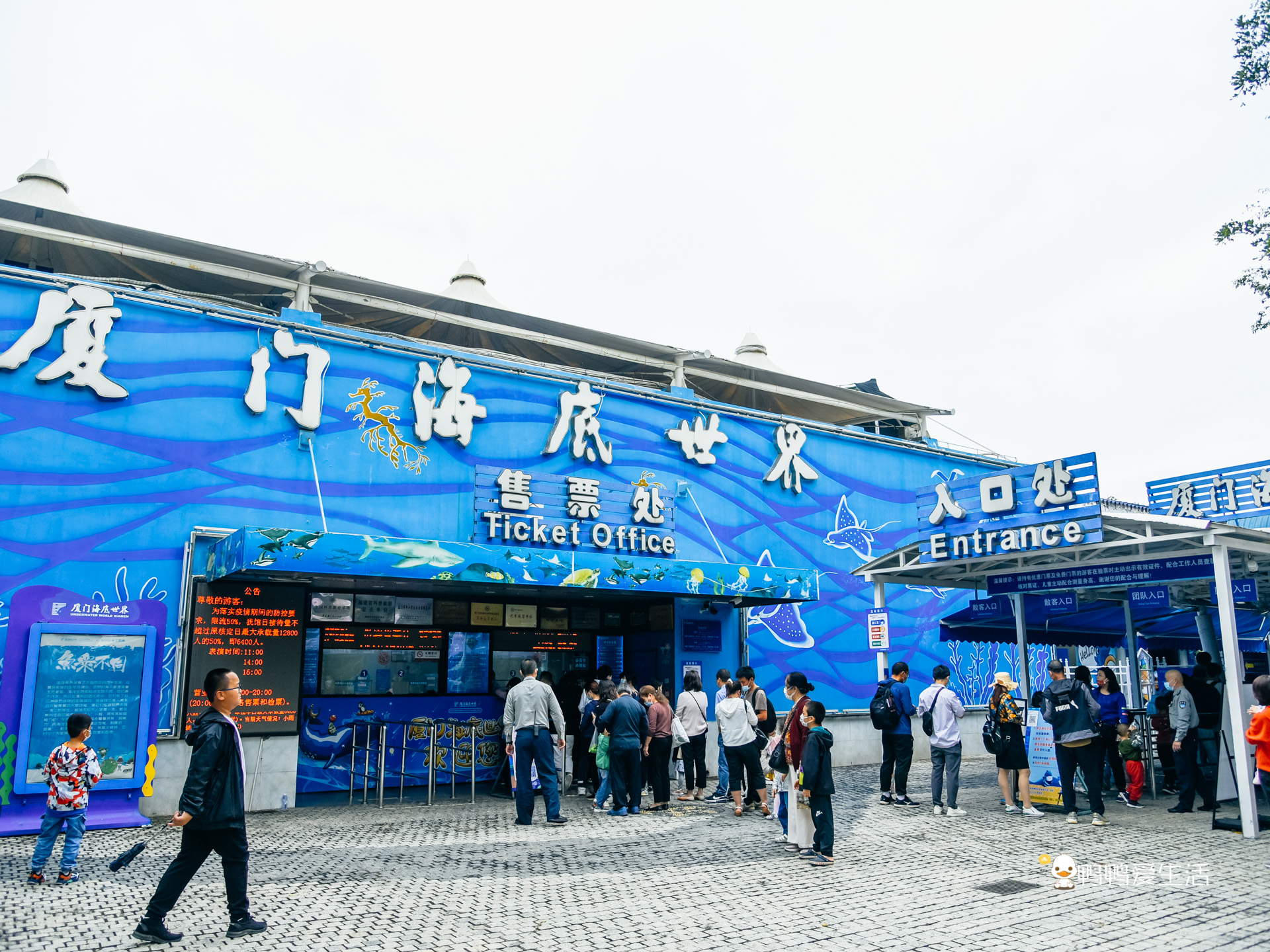 厦门鼓浪屿海底世界的抹香鲸,厦门鼓浪屿亲子旅游攻略