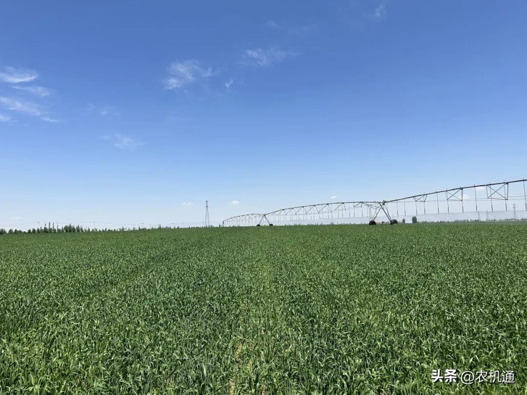 格兰“前推后拉”组合式割草压扁机，开启高效牧草收割模式！