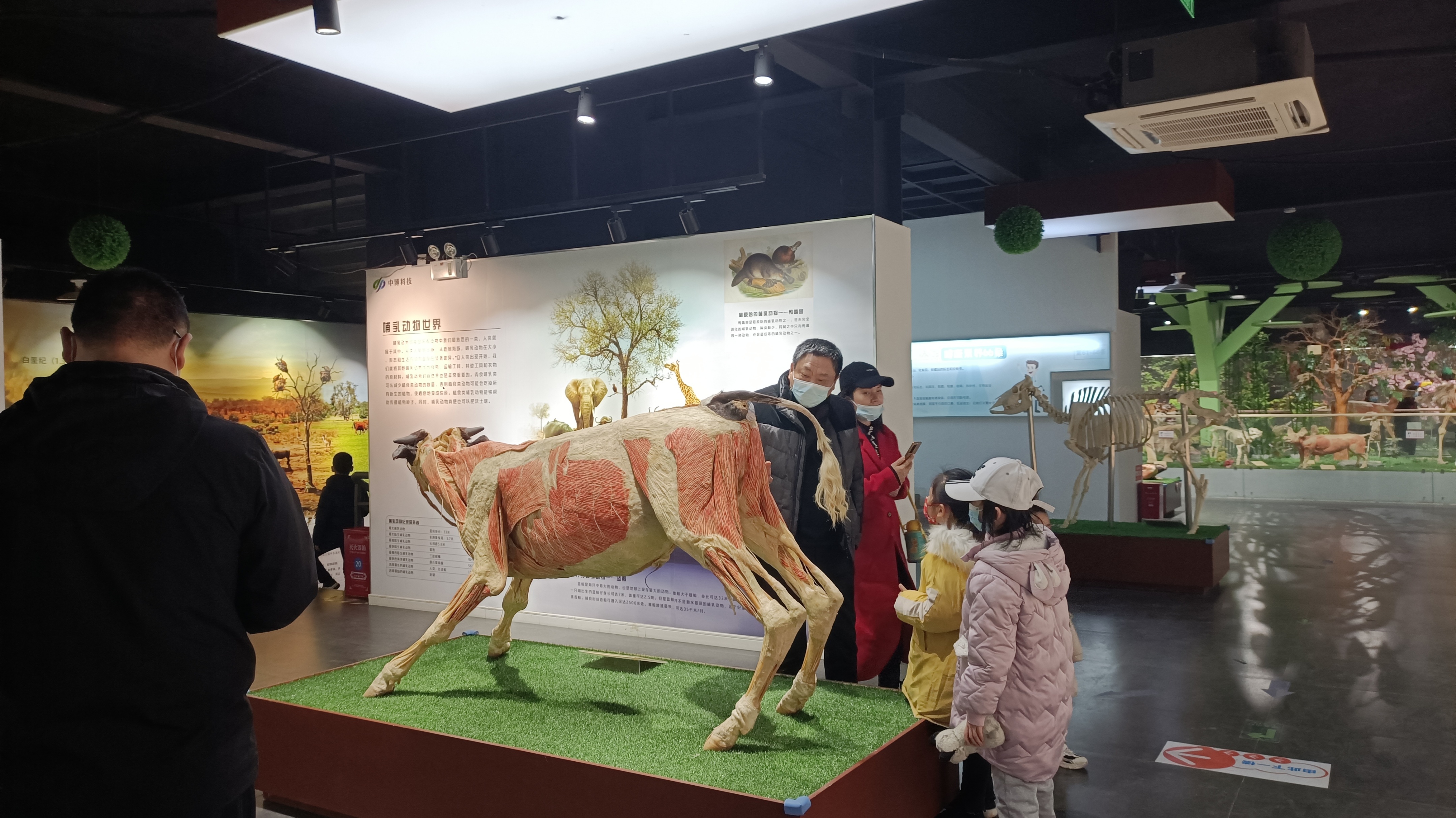 郑州周边免费遛娃的地方,郑州周边遛娃好玩的地方推荐