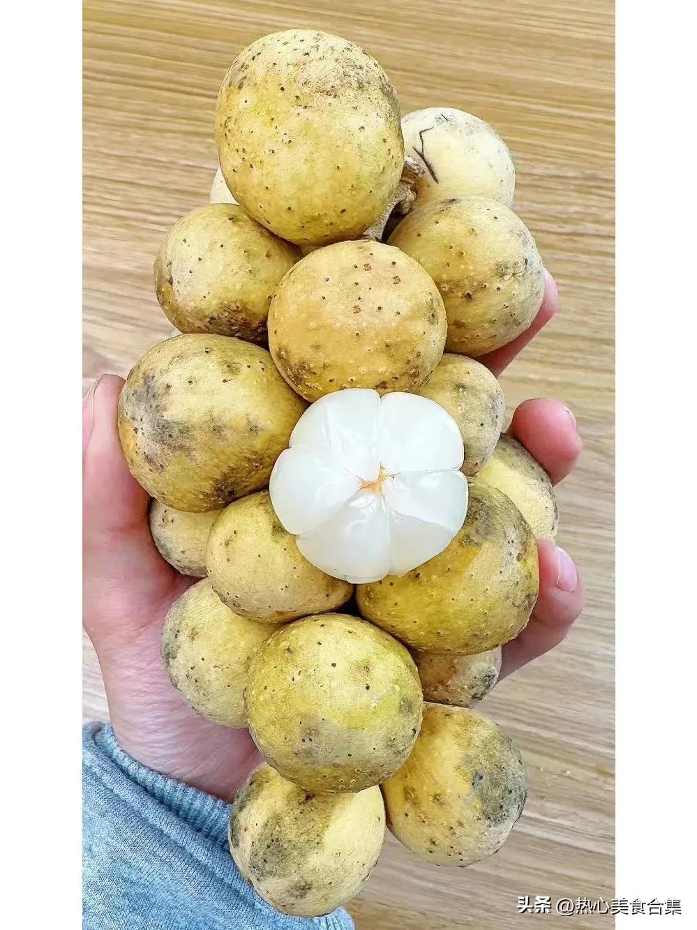 奇葩水果你见过但你肯定没吃过,奇葩水果图鉴你能认得出几种呢