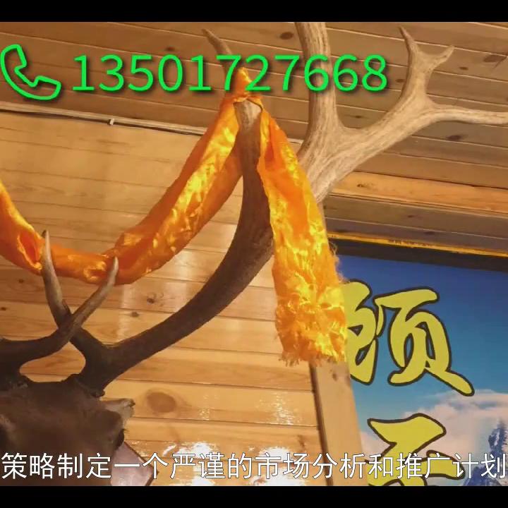 传媒公司策划方案怎么写,传媒公司项目策划方案