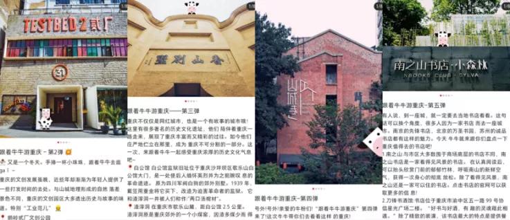 重庆一只酸奶牛风景视频,一只酸奶牛探店视频