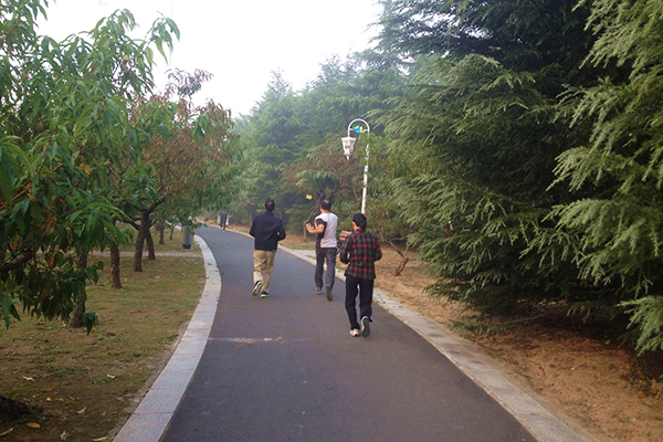 散步是最好的锻炼方式吗,散步是最好的健康