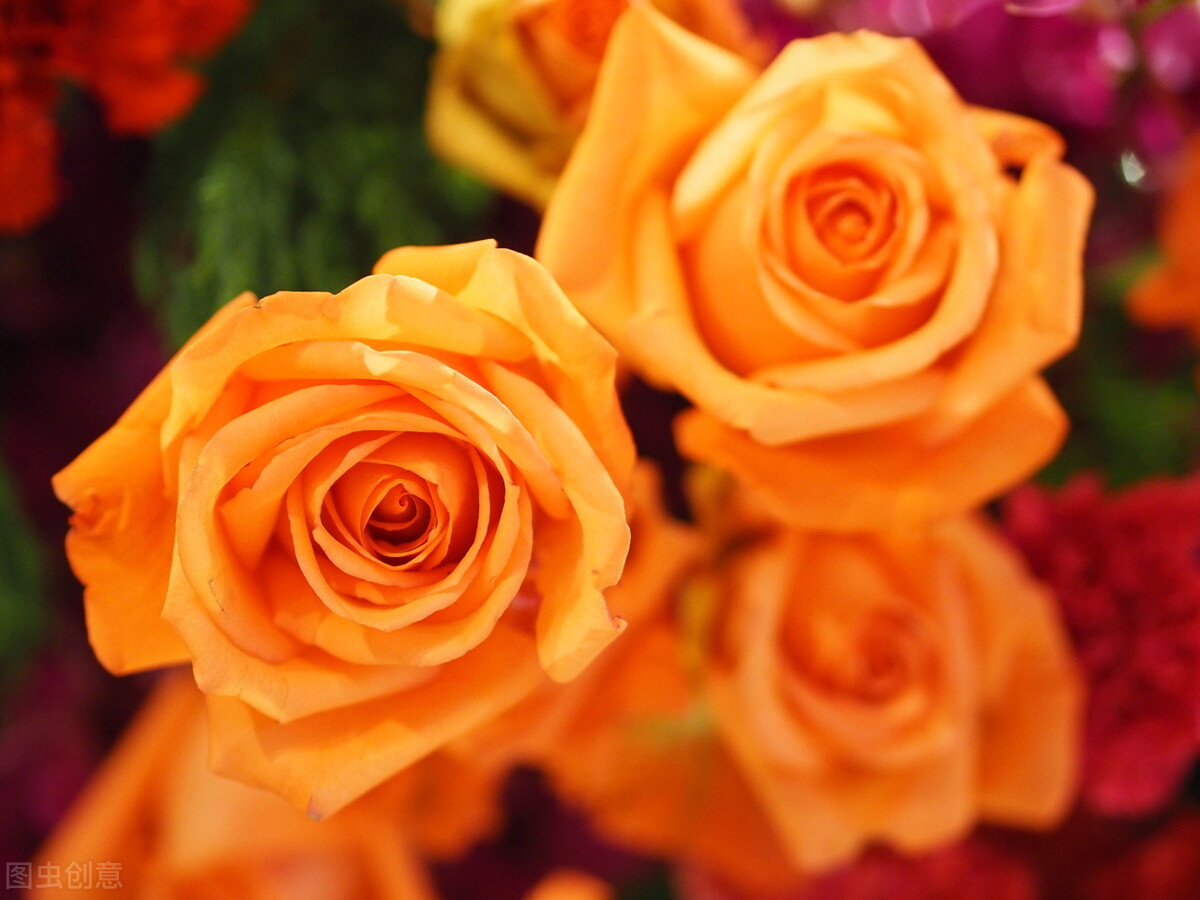 有一种爱是一辈子的挂念,真正的爱是一生的守候