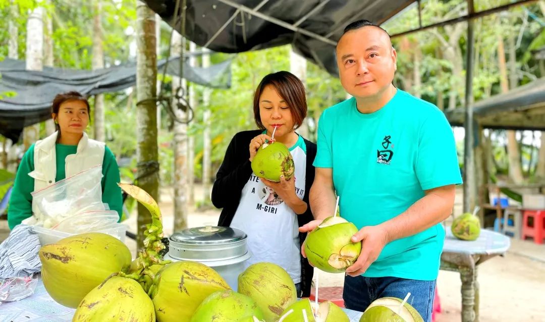 海南环岛自驾游6天住哪里,海南岛自驾性价比最高旅游攻略