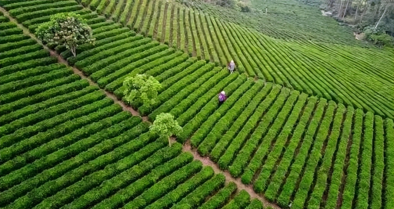 广东惠州旅游攻略3天自由行,惠州罗浮山2天一夜游