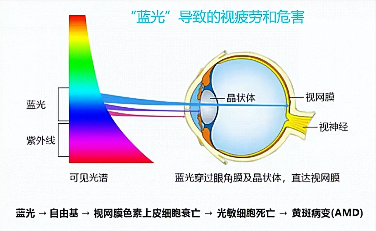护眼学习机哪个品牌护眼最好,几百元的护眼学习机真的护眼吗