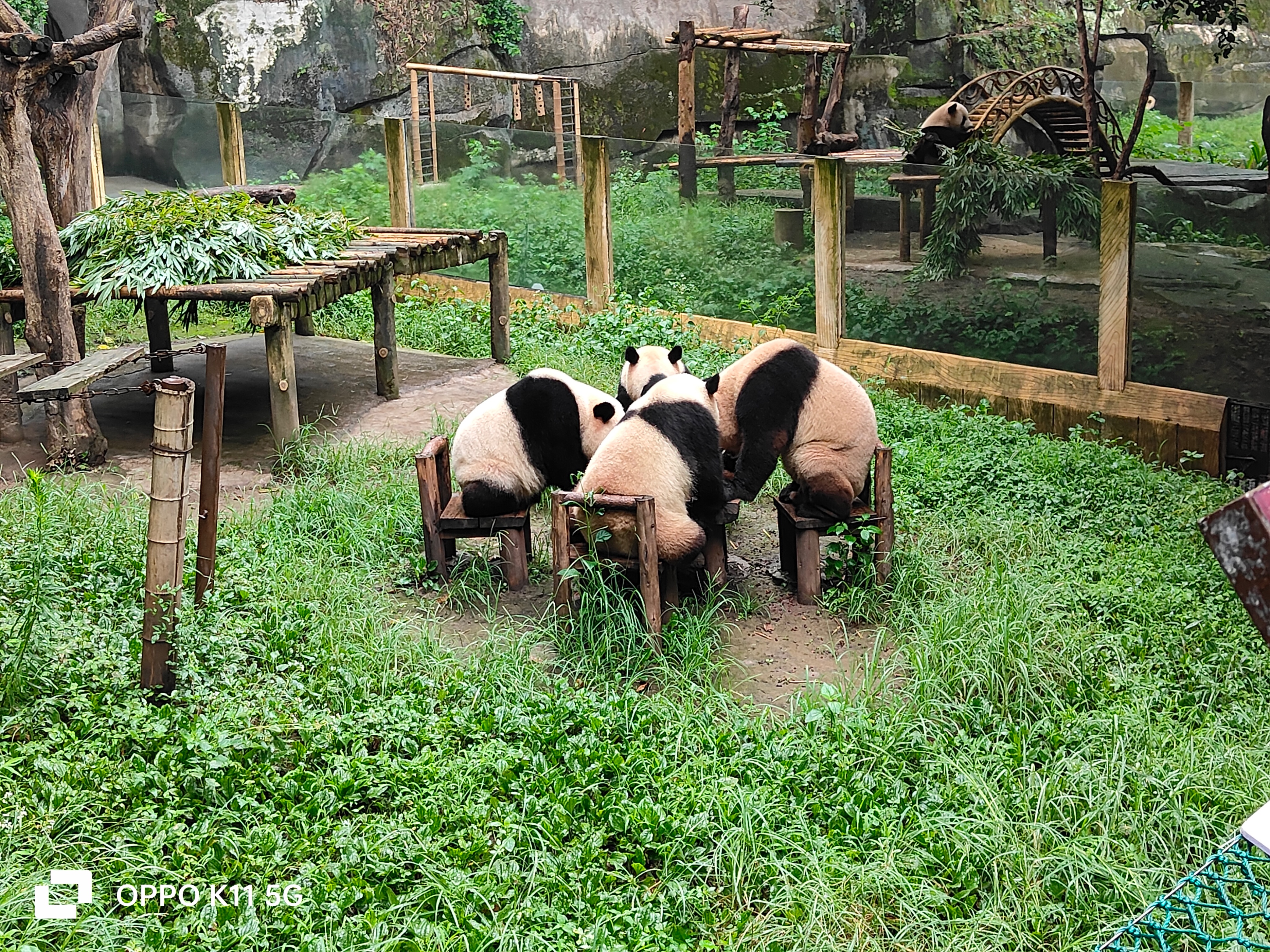 为什么oppok11画质不太好,oppok11为什么王者不能分屏